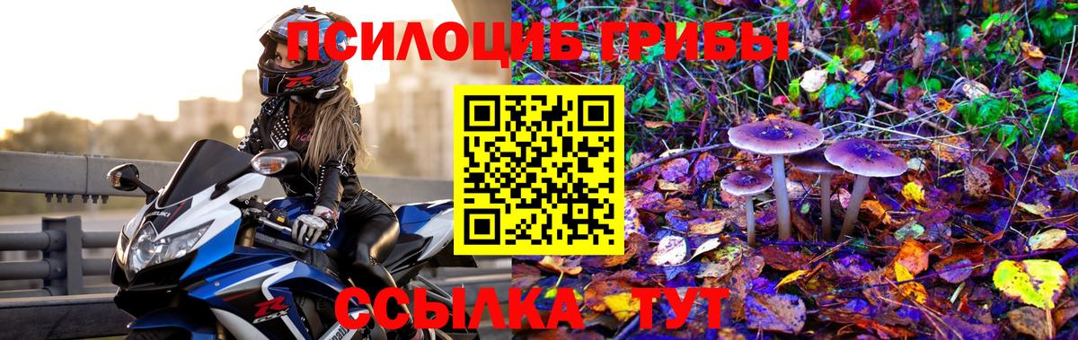 Галлюциногенные грибы Cubensis Черногорск