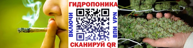 дарнет шоп  Черногорск  МАРИХУАНА планчик 